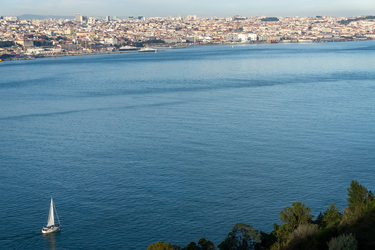 유플러스보상기변