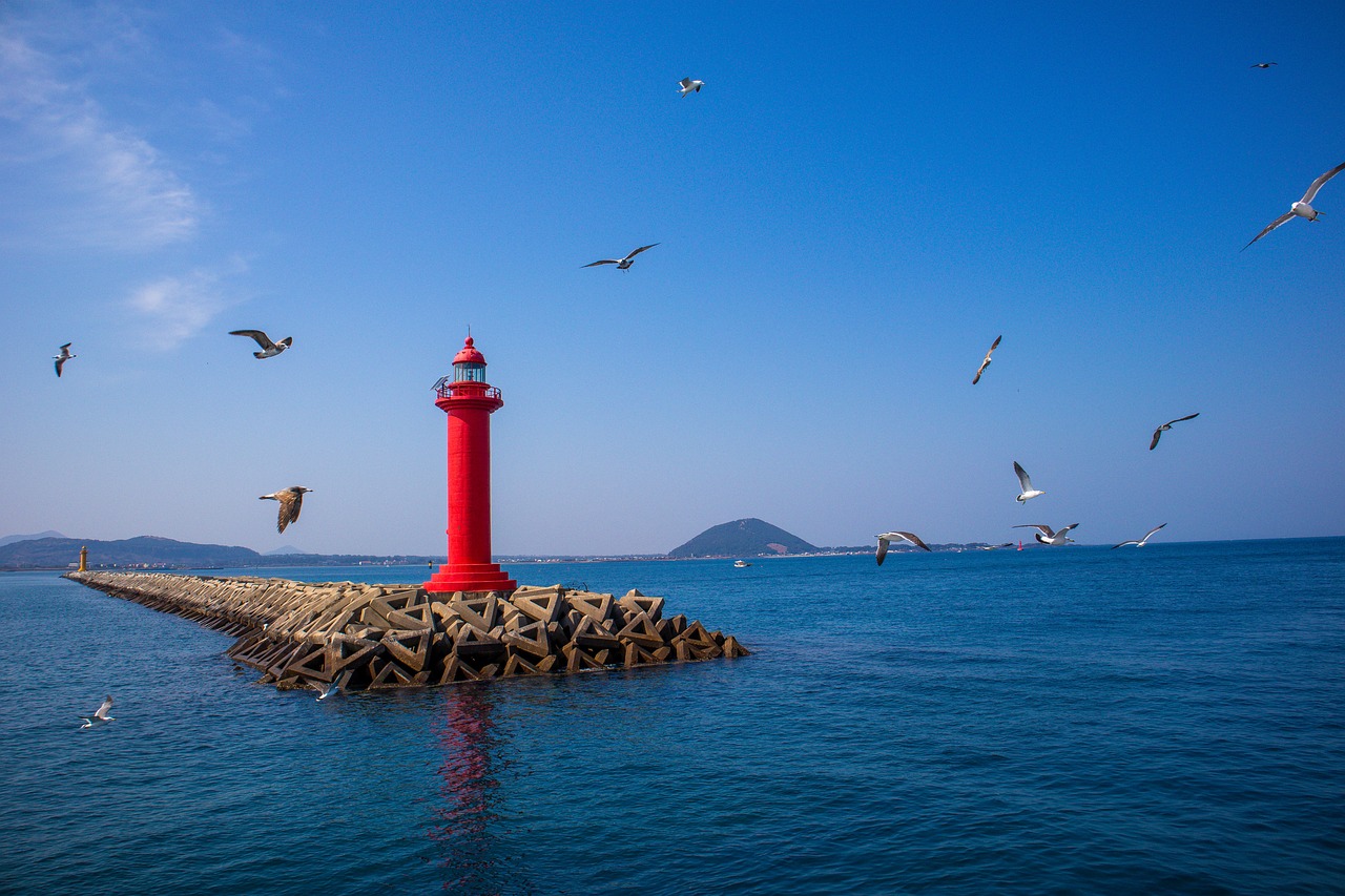 제주도 도시락 와이파이