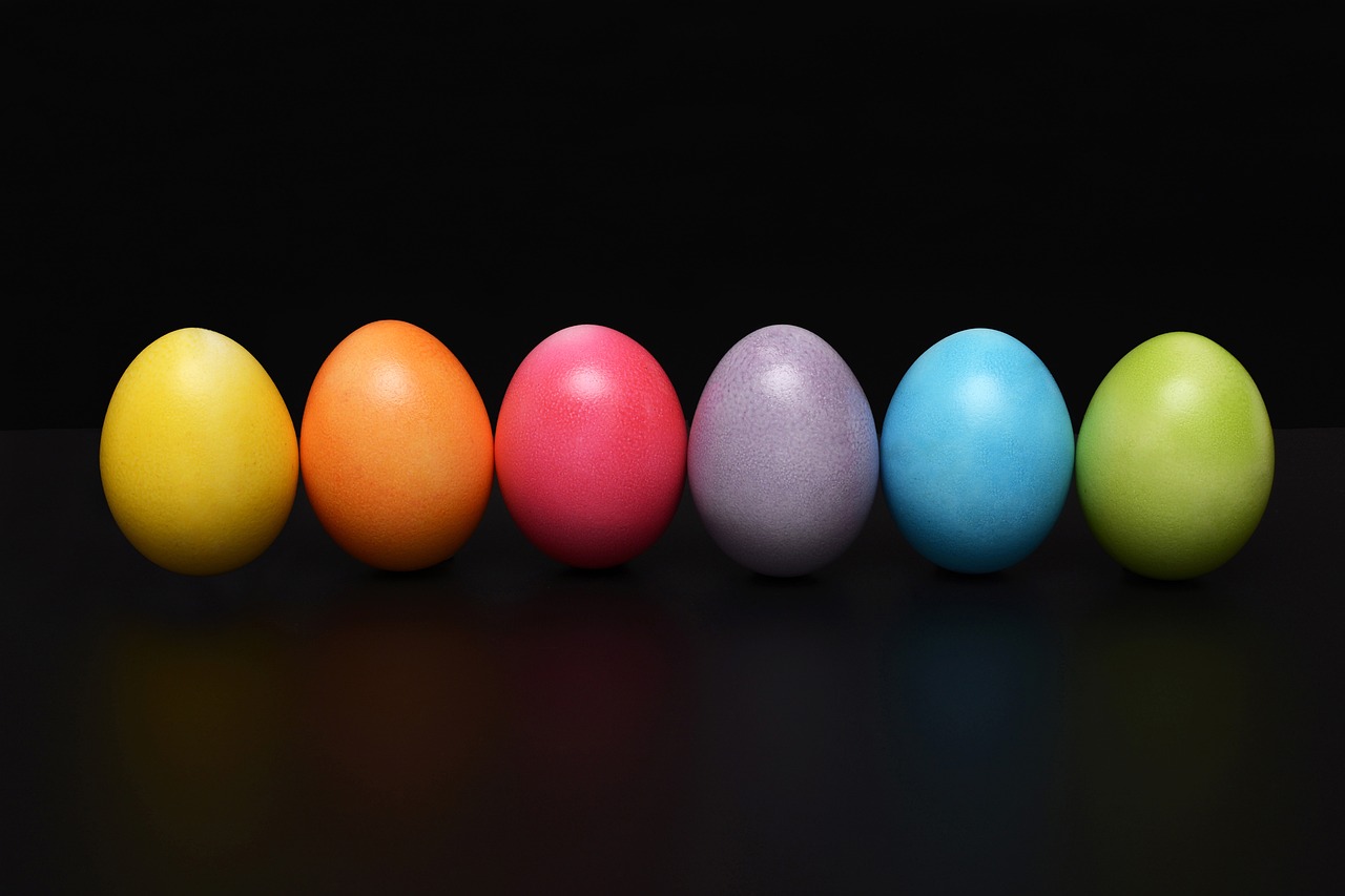 EGG단말기