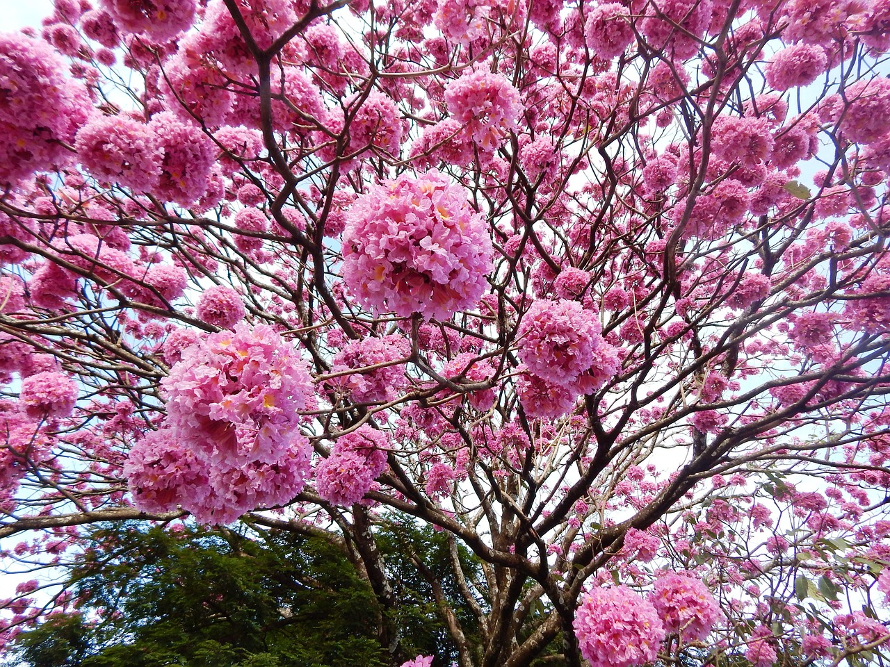 SK공인IP