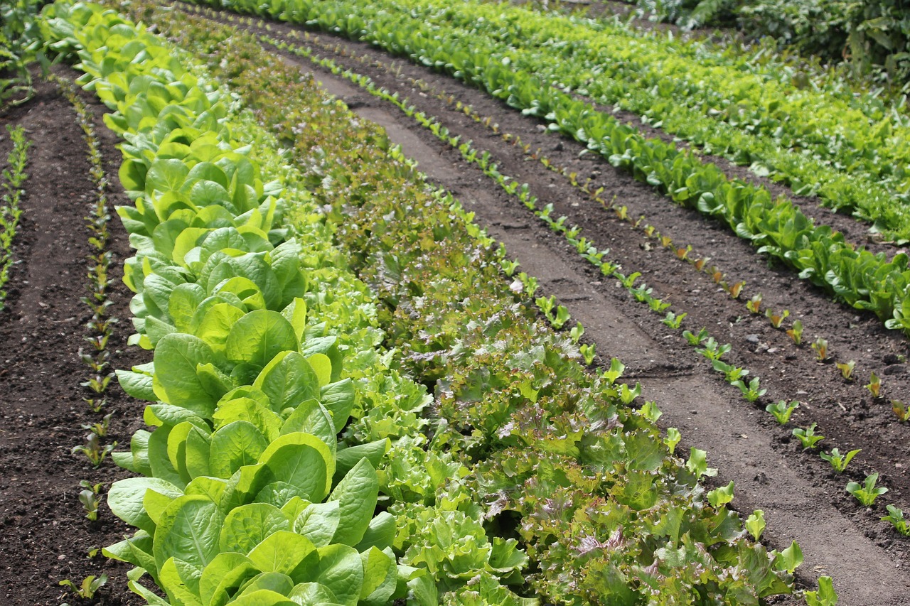국민카드 9000원 통신료 할인