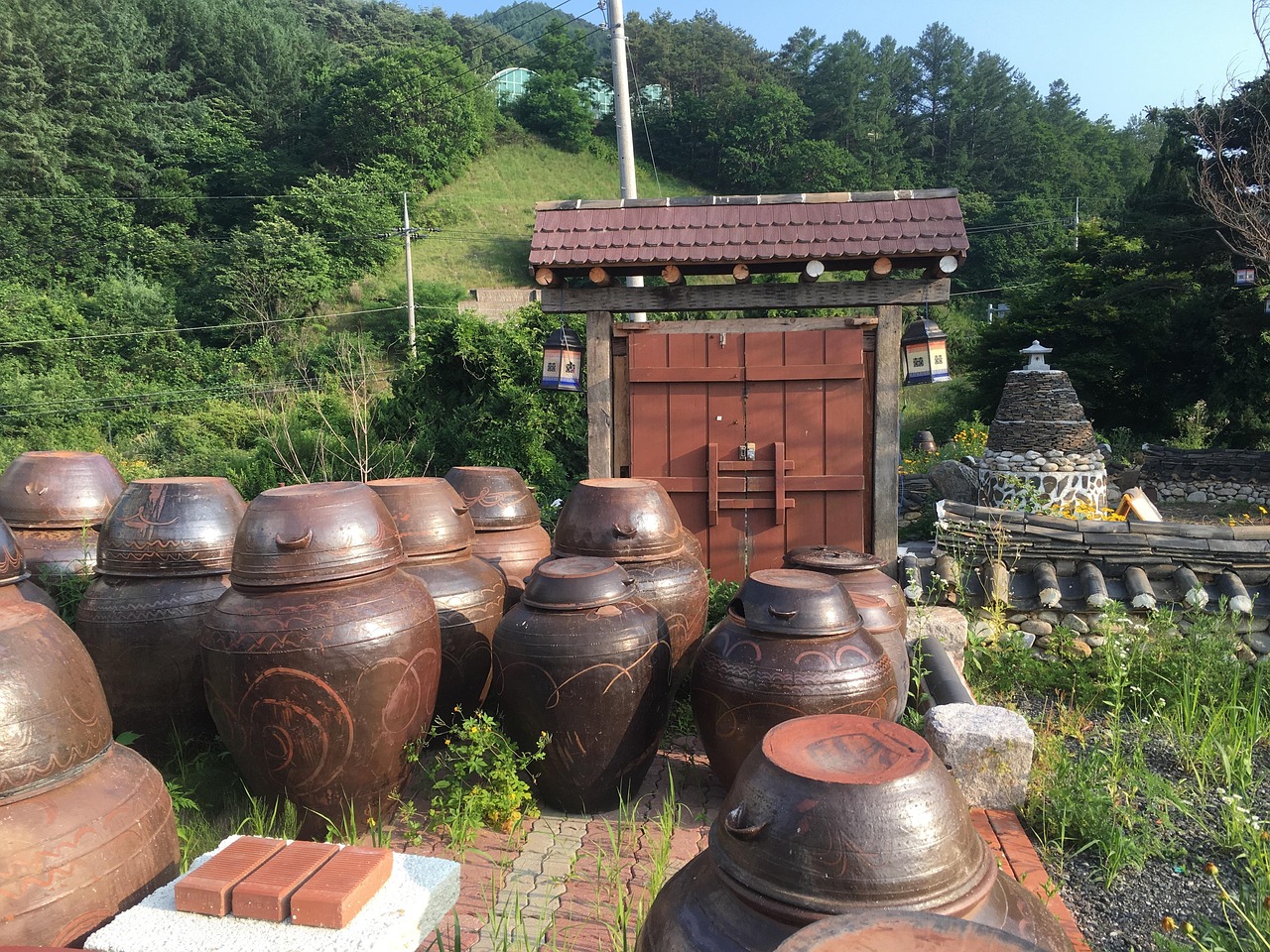 제주도 와이파이