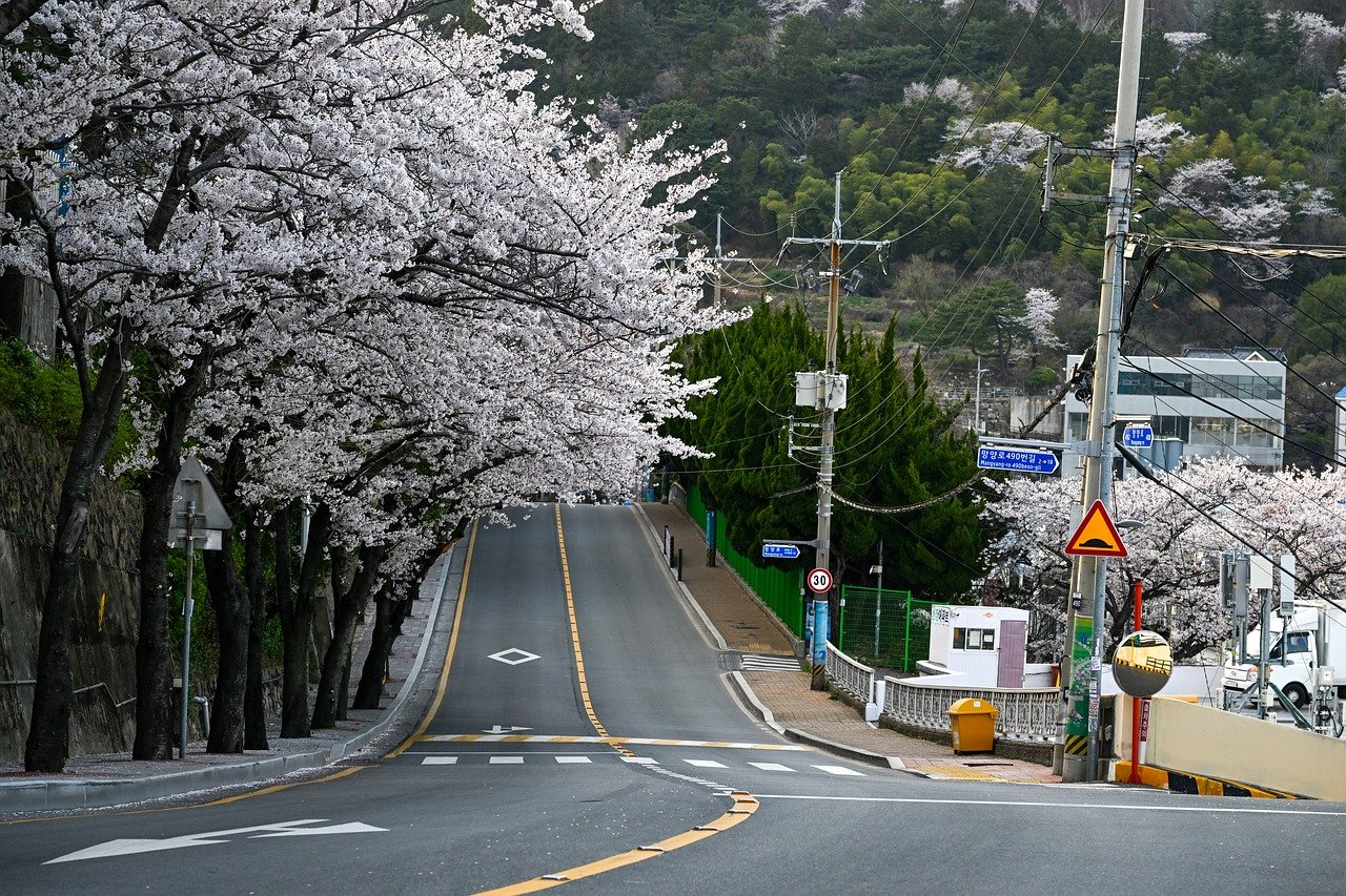 부산노하드