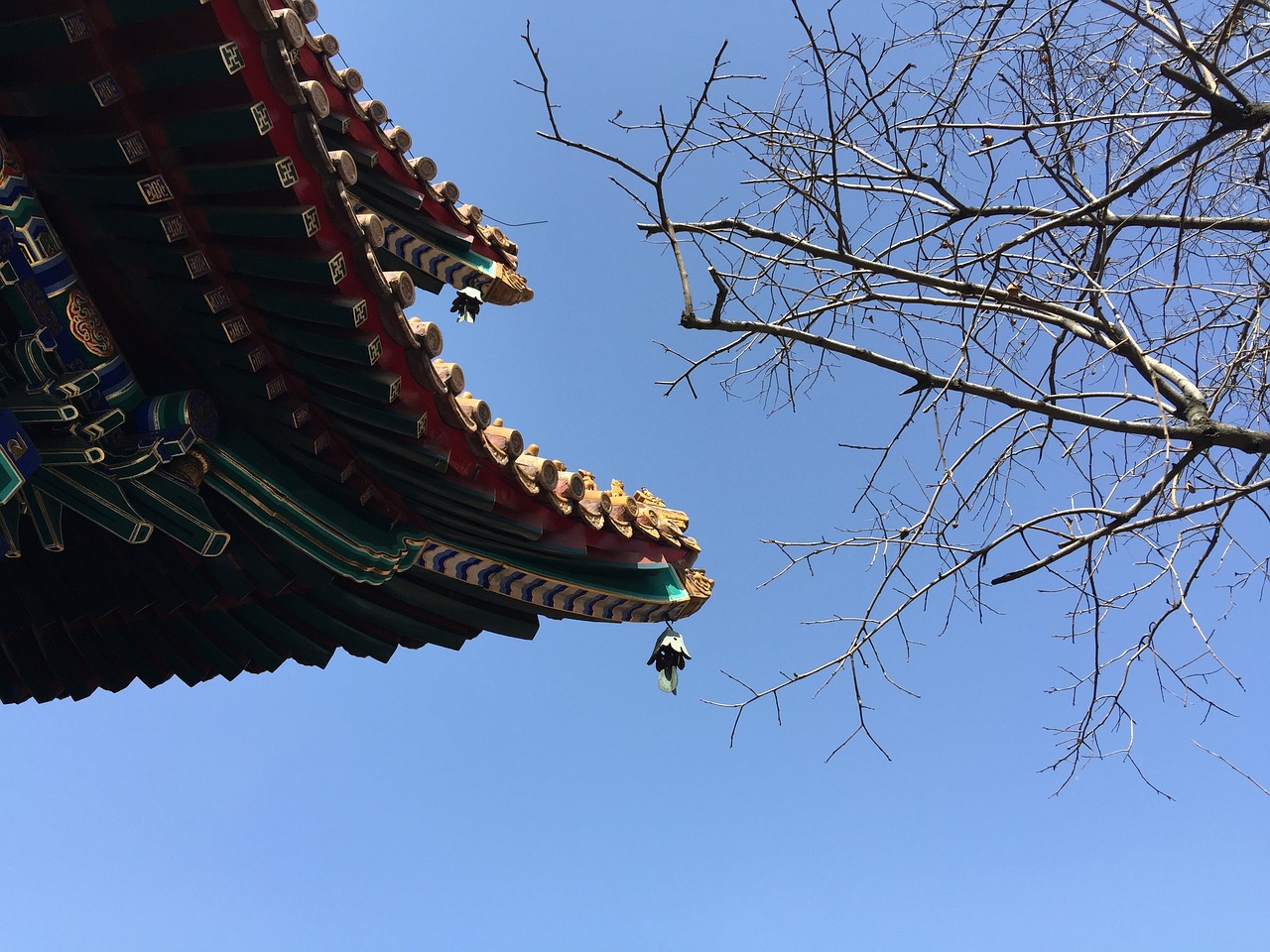 용인KT인터넷