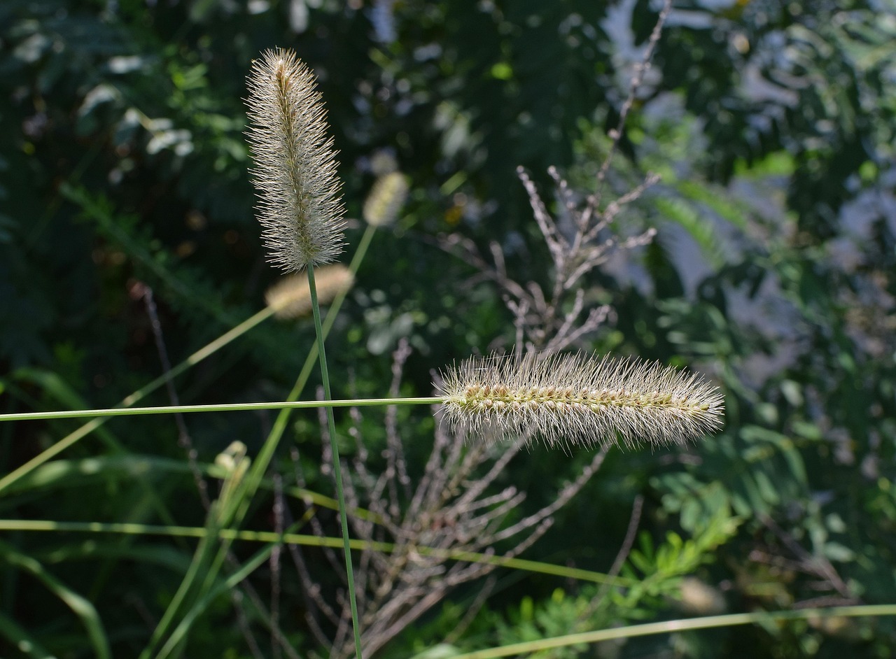 sk브로드밴드 세대단자함